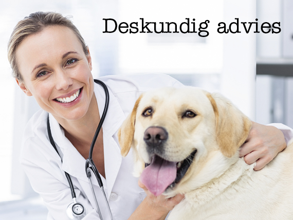 Dierspecialist Deskundig Advies