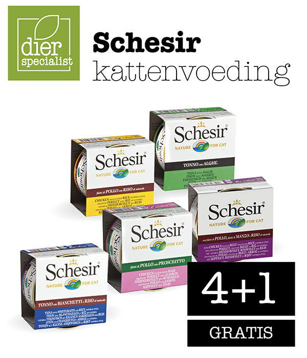 Schesir kattenvoeding